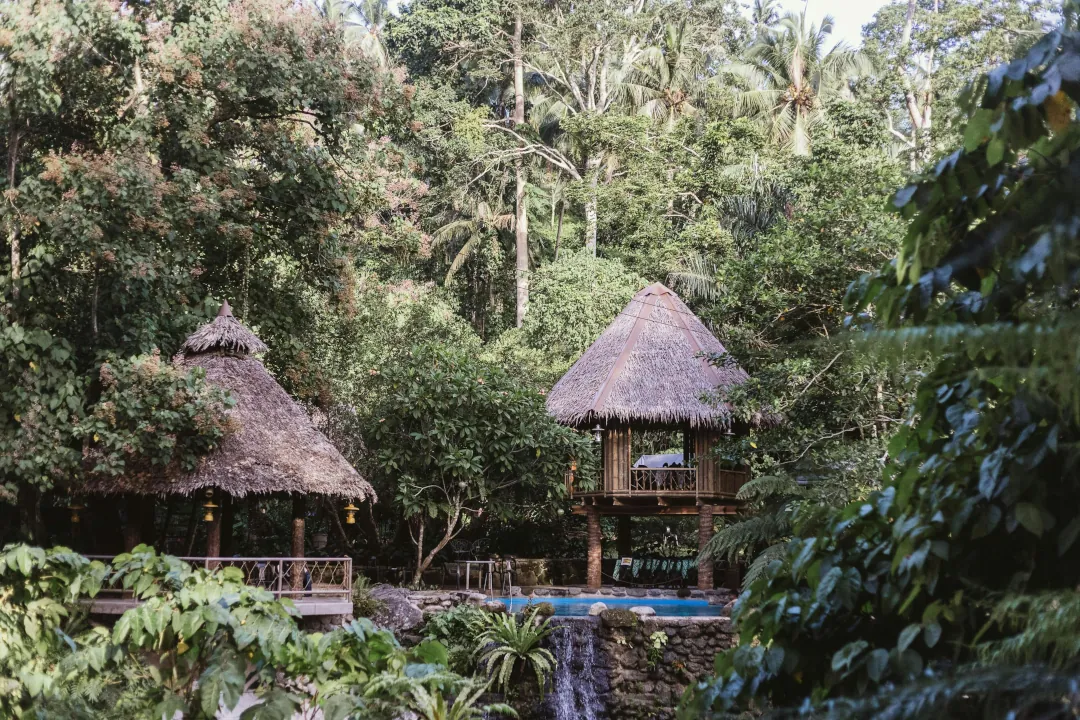 Biophilic Architecture Ubud