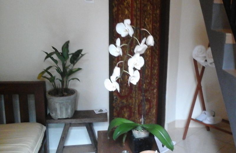 Corner guest house 0
