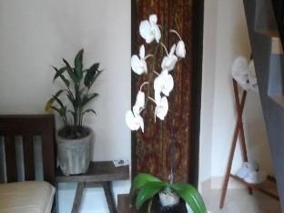 Corner guest house 4